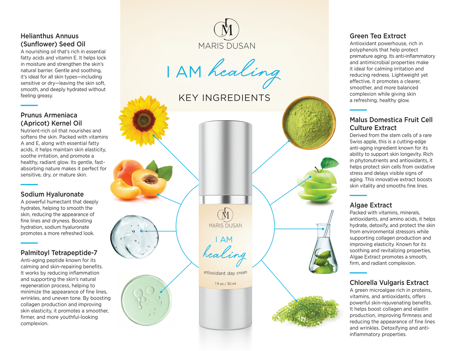 I Am Healing Antioxidant Day Cream
